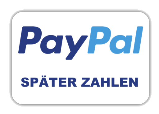 PayPal Später Zahlen